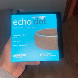 Echo Dot