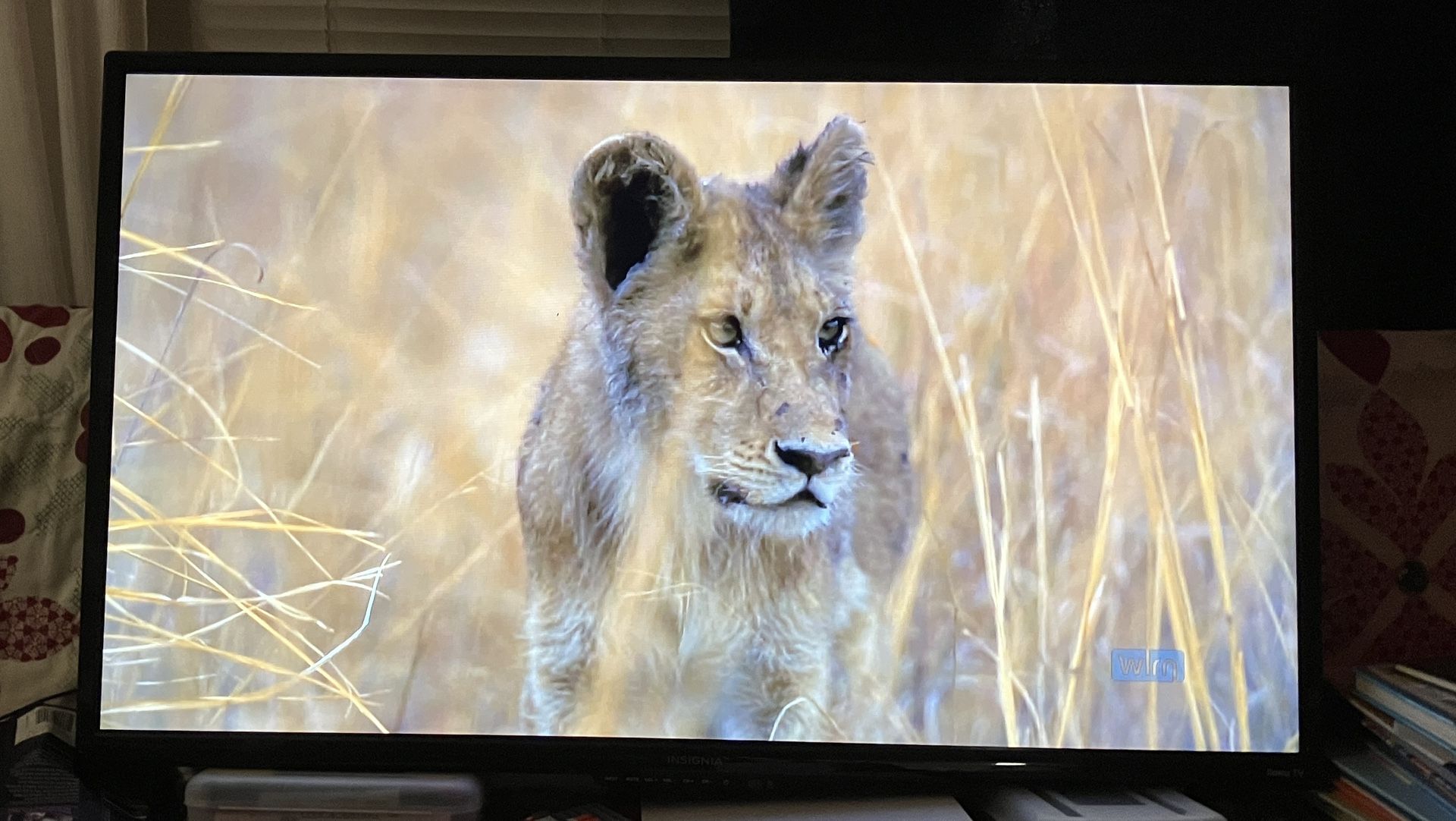 40” Flatscreen Roku TV