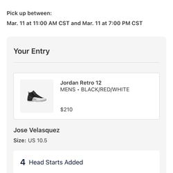 Jordan 12 “playoffs”