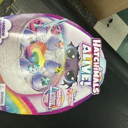 Toy