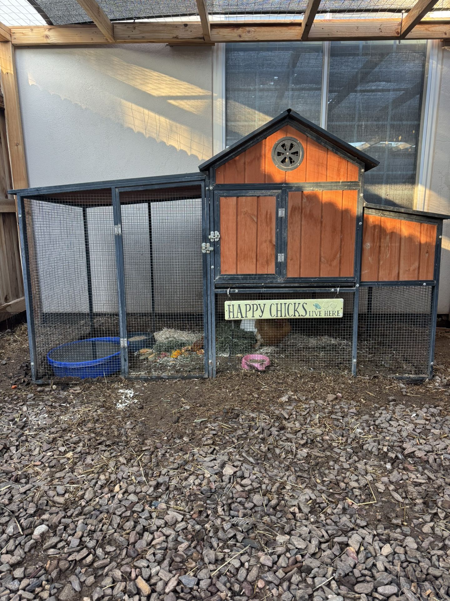 Chicken Coop 