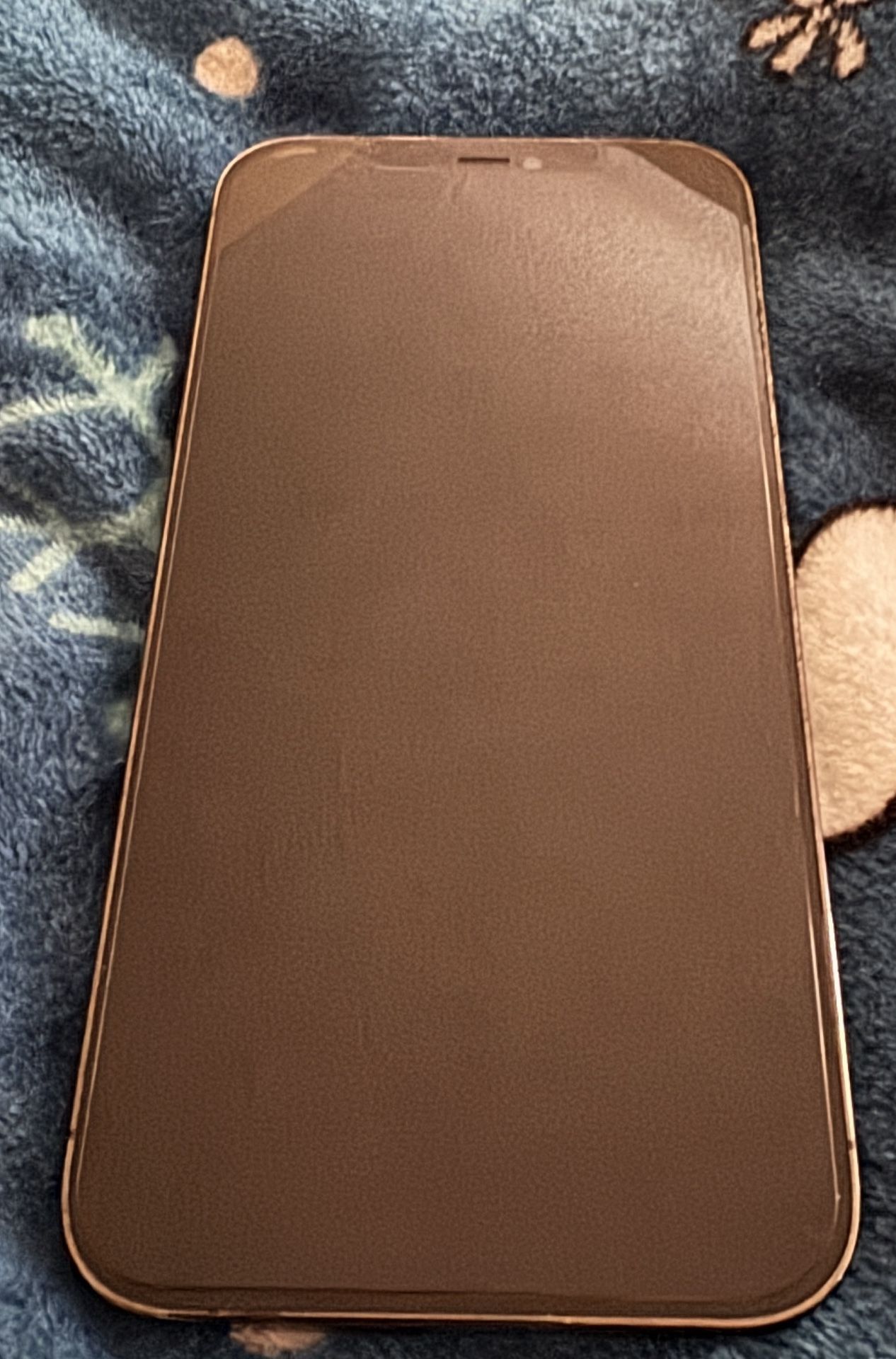 iPhone 12 Pro Max with Blue Butterfly Case