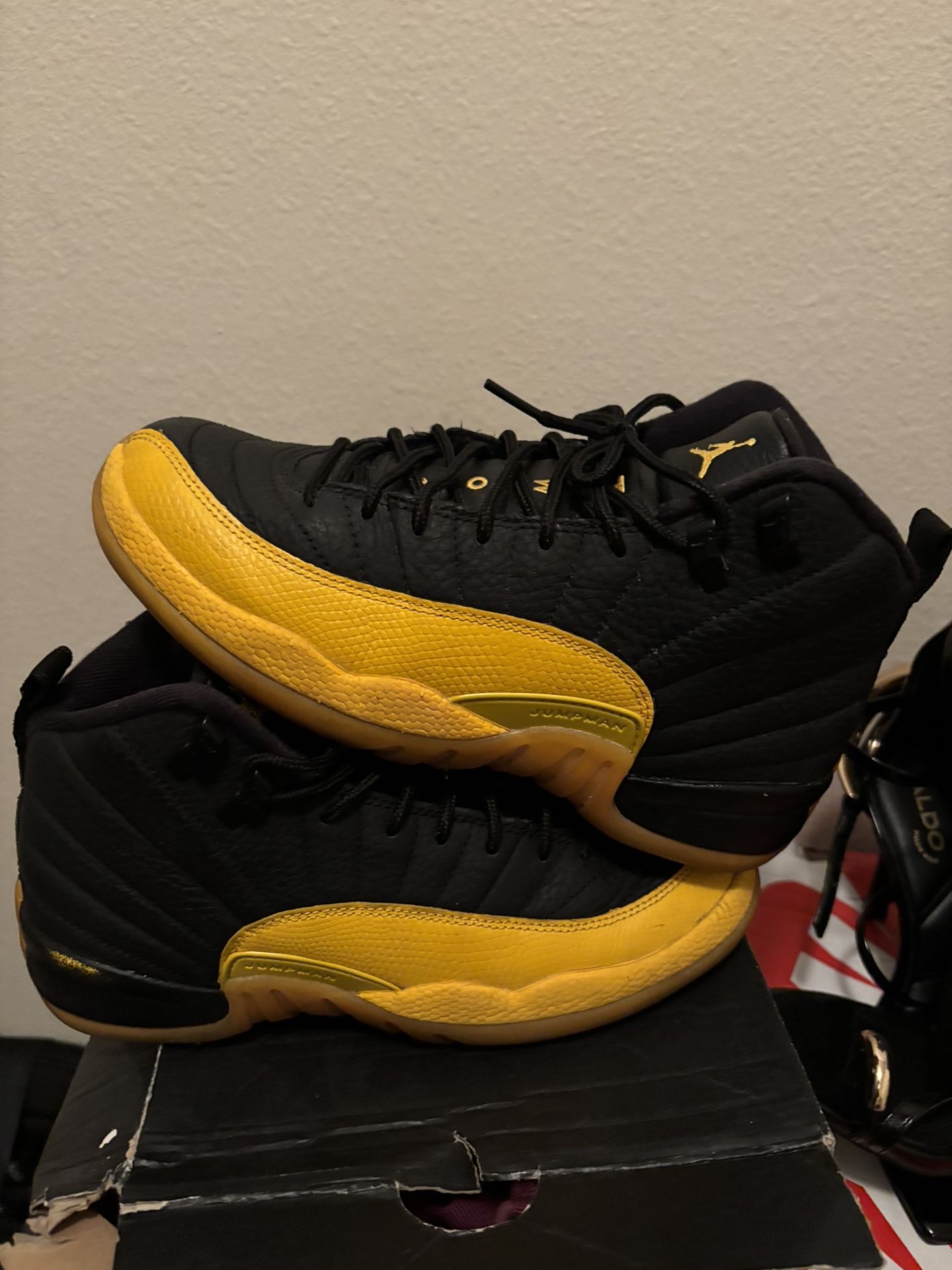 Jordan 12