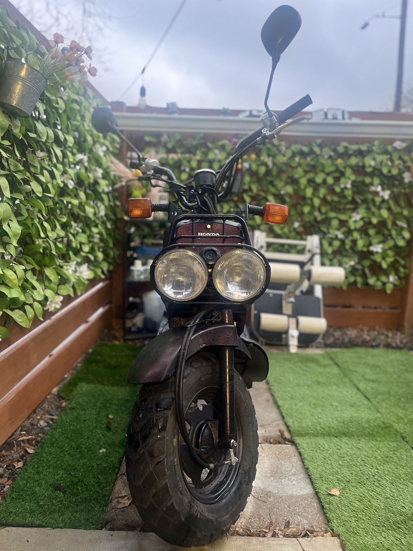 2015 Honda Ruckus