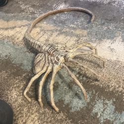Alien Facehugger
