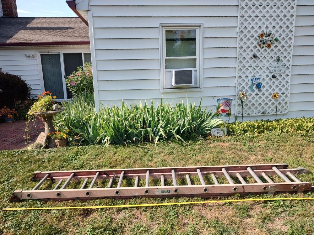 20' Ladder