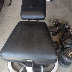 Weight Bench  And Weights.