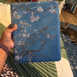 iPad Pro 13” 256 GB + Sketchboard Pro