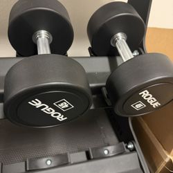 2 45 lb authentic rogue dumbbells 