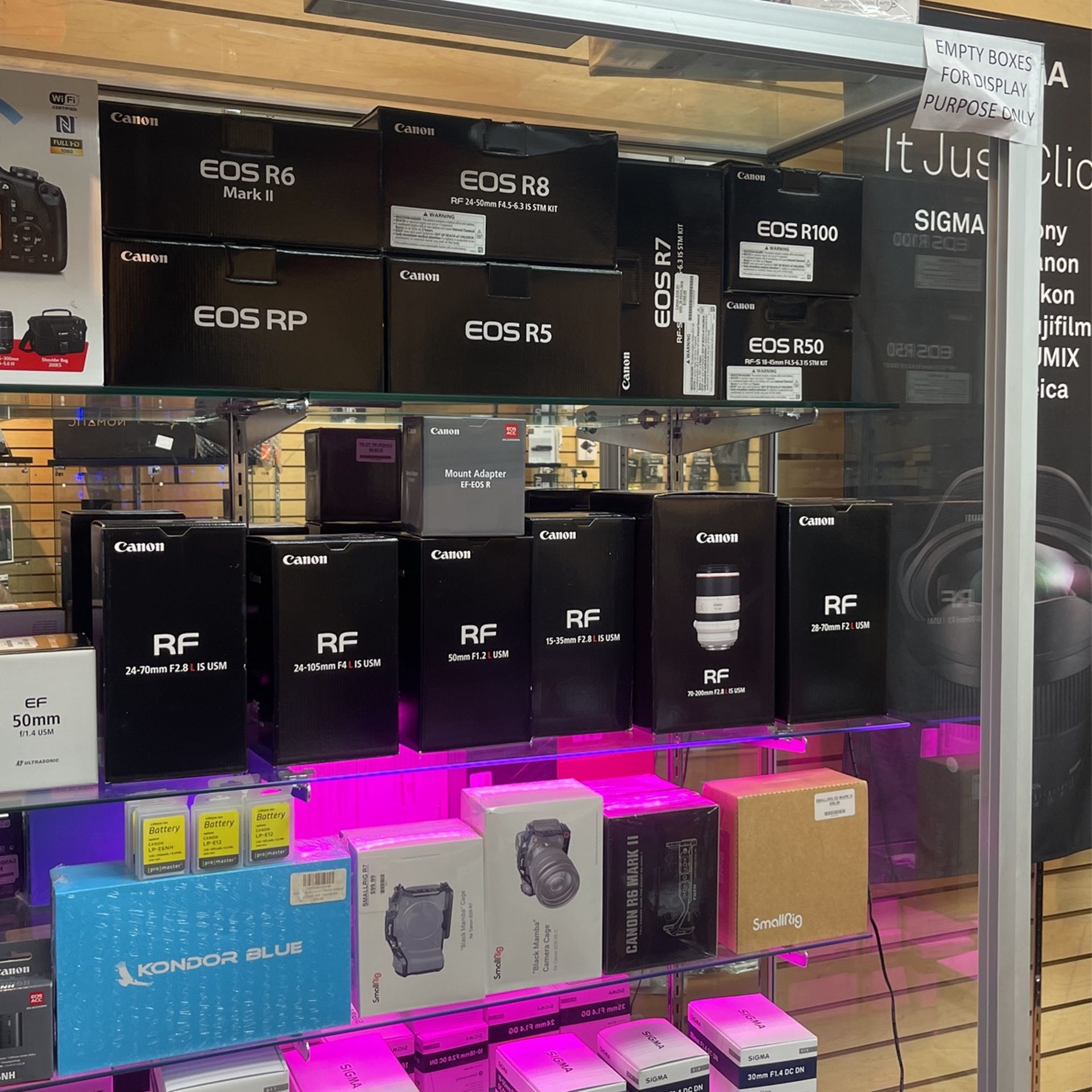 Canon R8 With 24-50mm Lens