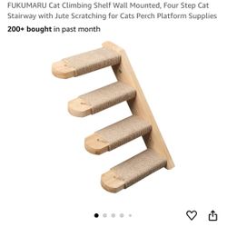 Cat Climbing Stairway 