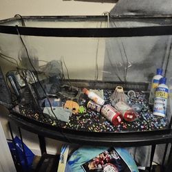 Fish Tank With Rocks, Filter, Uv Filter, Various Chemicals