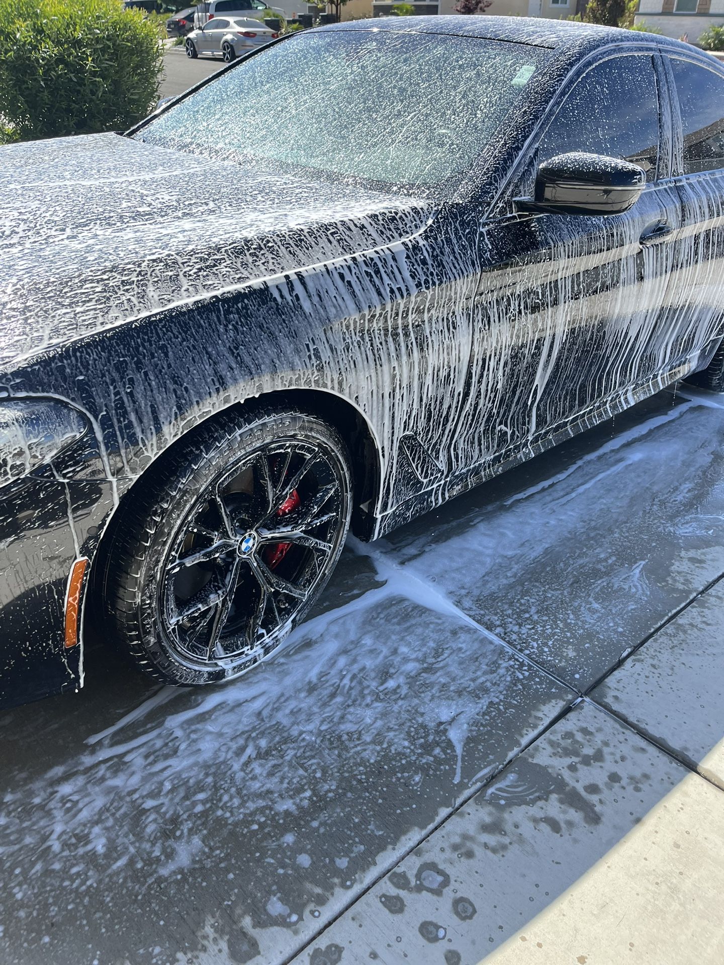 Car Detailer