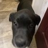 Edgar