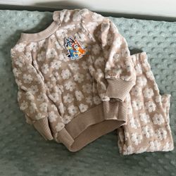 Bluey Outfit