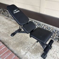 Fly Bird Weight Bench