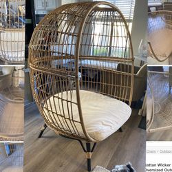 Plastic Foe WickerAnd Metal Framed Egg Chair W/ Cushion 