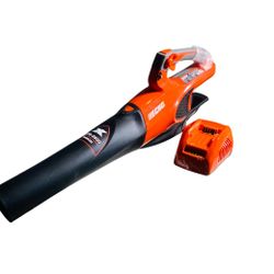 ECHO DPB-2500 handheld blower & charger. (Battery not included)