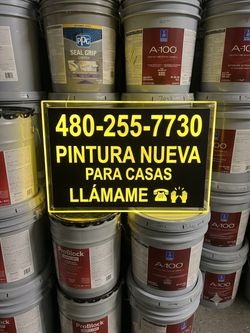 Paint and primer