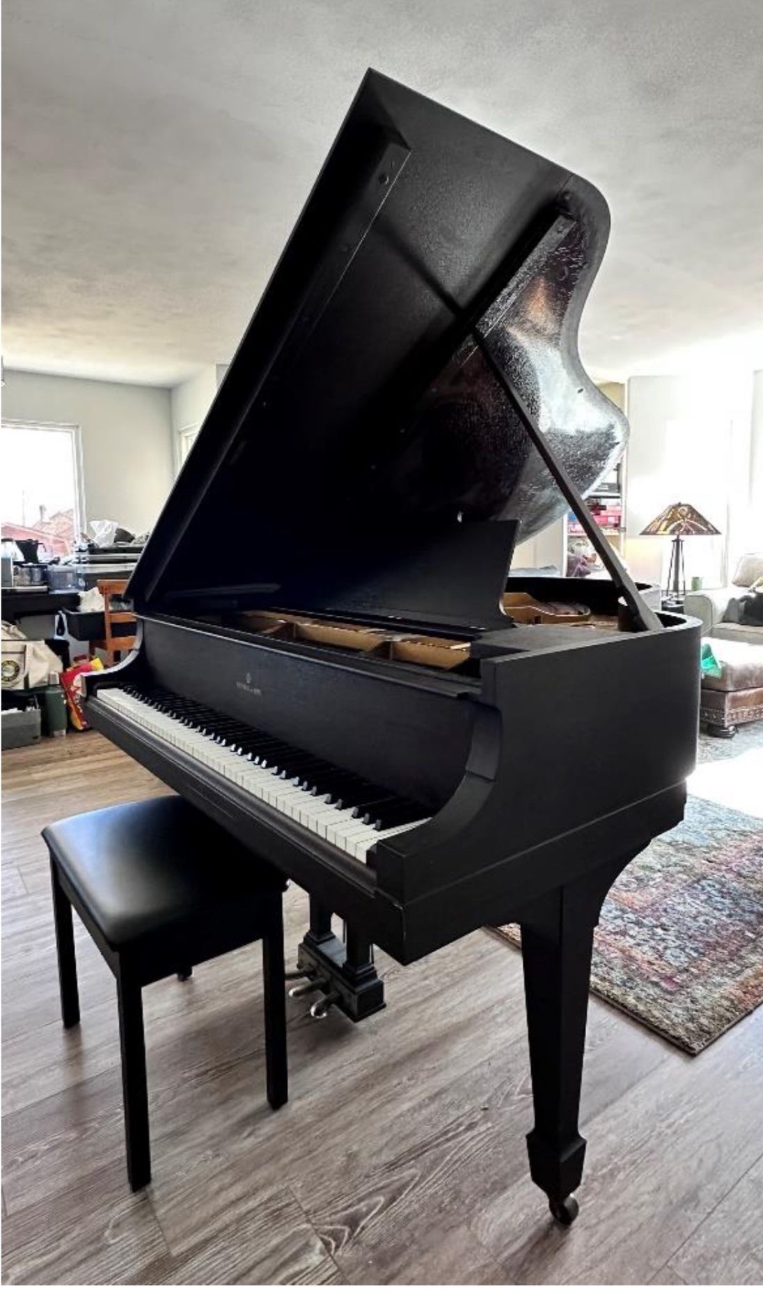 Steinway Baby Grand Piano $80k New !