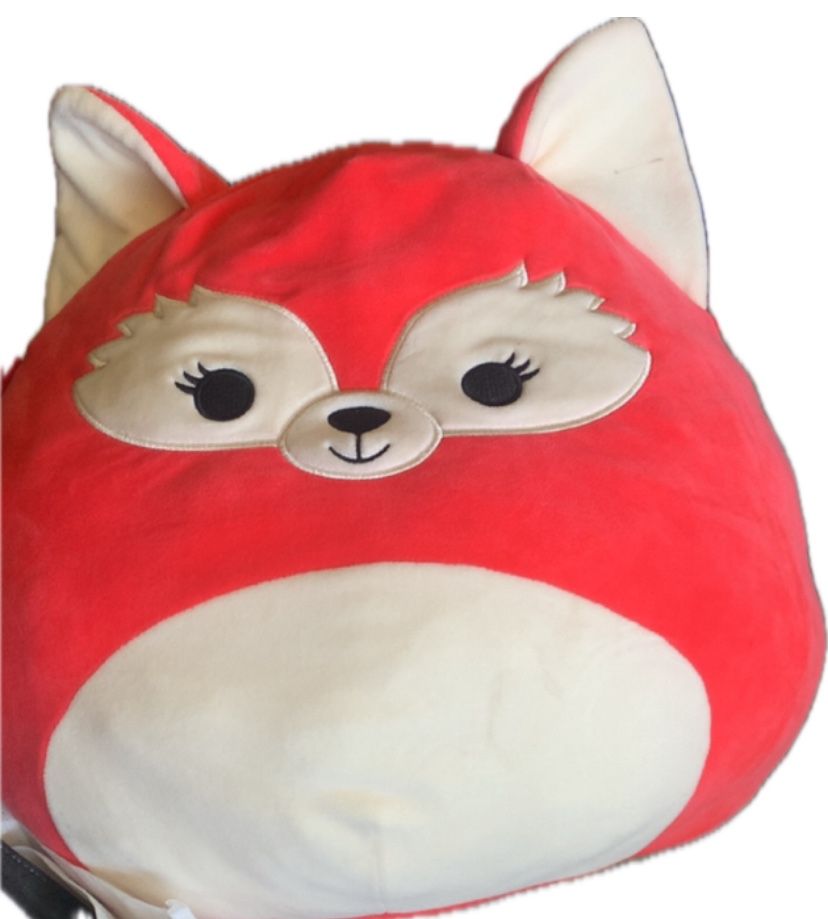 Stuffed Animal Pillow