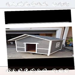 drug experience Build the Ultimate Dog Home - Style and Comfort Excellence