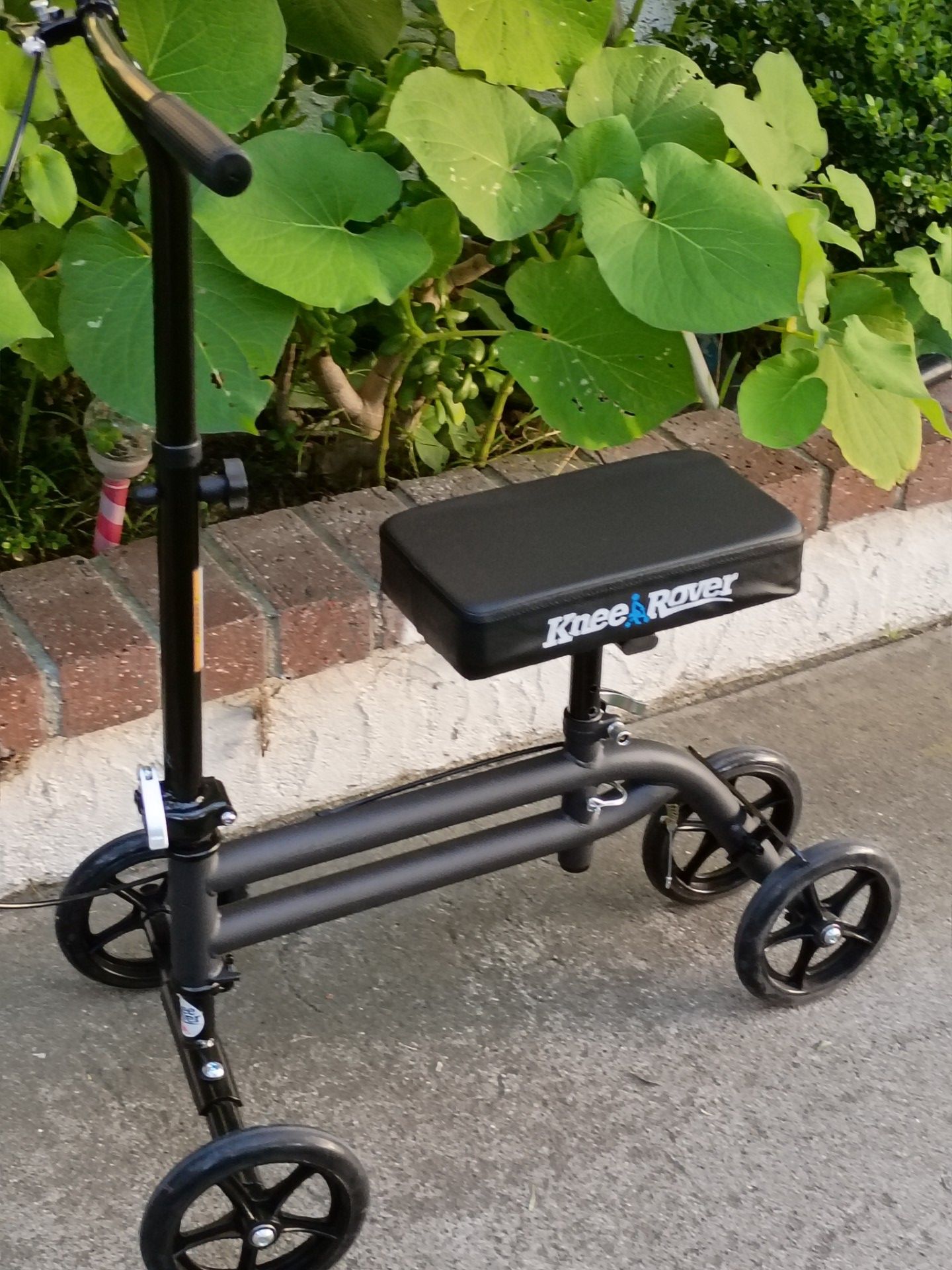 Knee rover walking 50