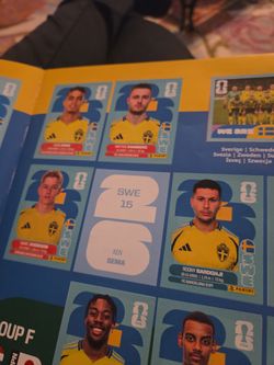 Need Sweden #15