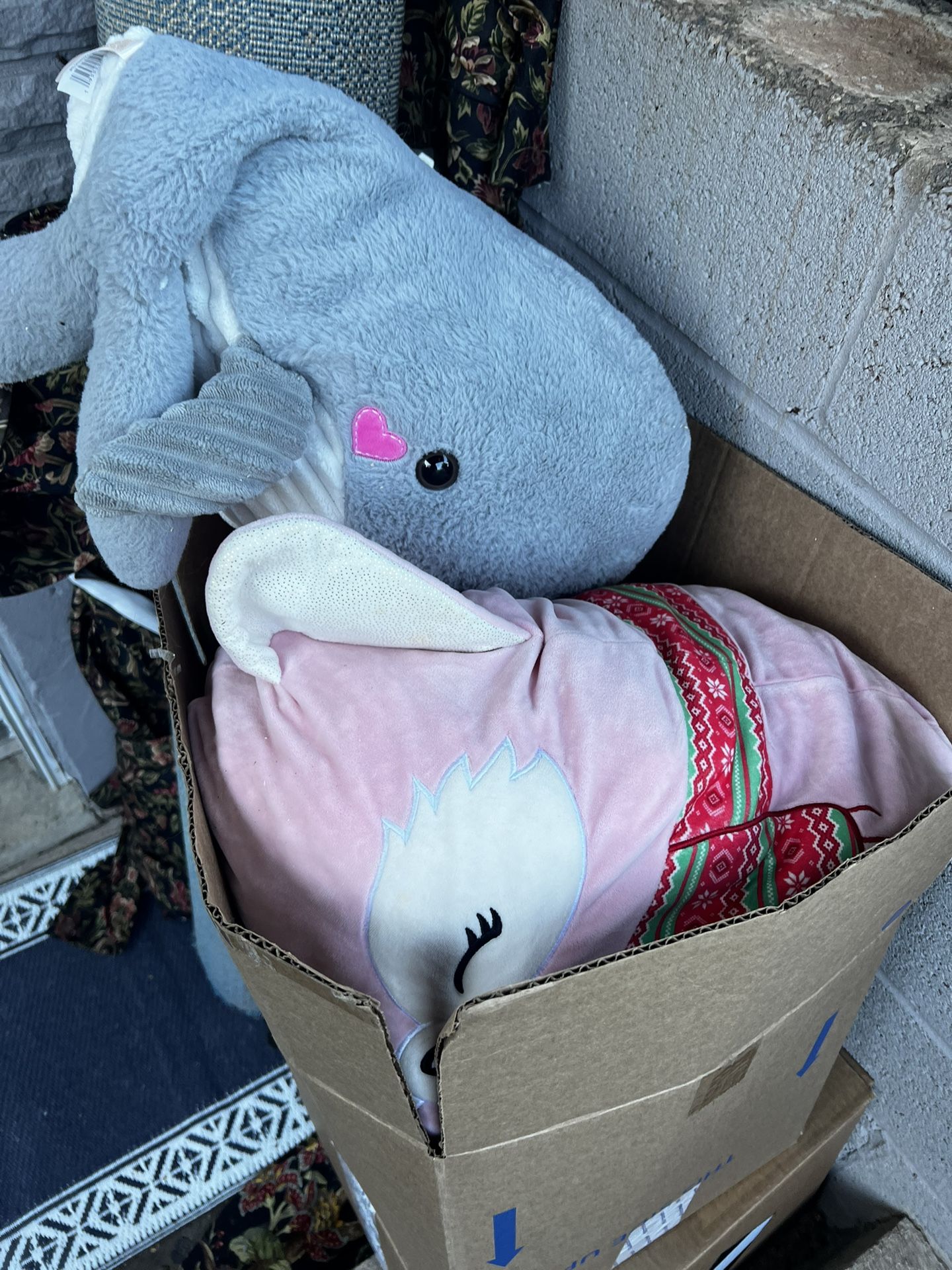 Free Toys, Free Rug And Free Curtains 