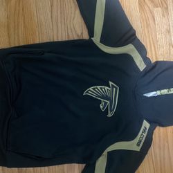 Falcons