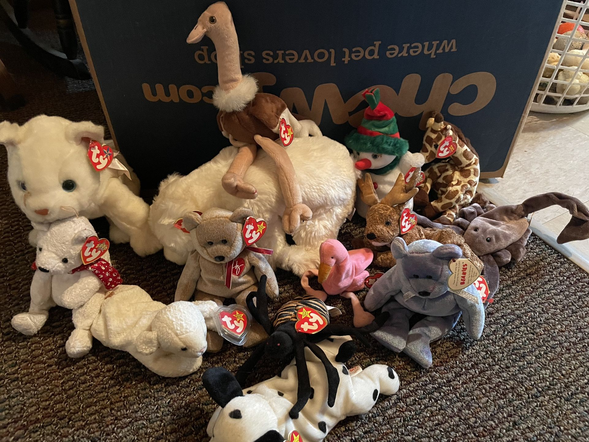 Beanie babies Price negotiable