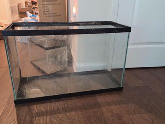 Multiple fish tanks available 5 gallon 29 gallon