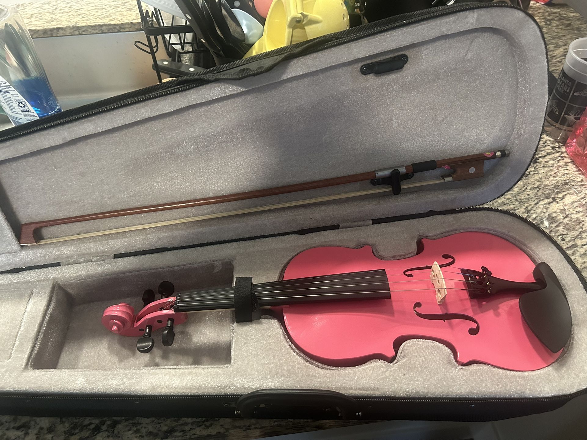 Violin with Case
