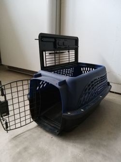 Jaubla para pasear un gato