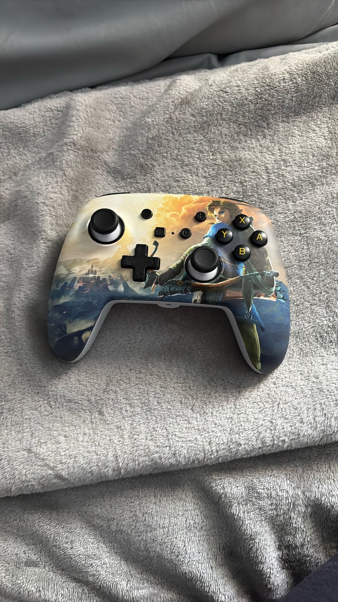 Controller With Microphone Input, No Charger