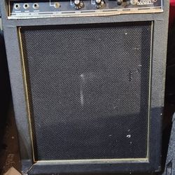 Montgomery Ward Guitar Speaker