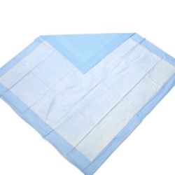 Disposable Blue Pads