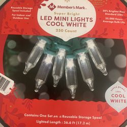 Members Mark New Led Mini Lights