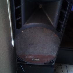 Carvin Speaker 
