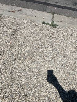 Free gravel