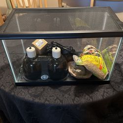 Fish Tank(or Lizard) With Accessories 
