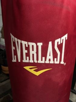 70 Pound Elite Everlast, Heavy Duty Punching Bag Ceiling Mount