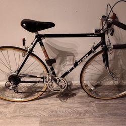 FUJI 12-Speed Bike