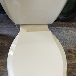 Toilet Kohler With Pressure Flush Good Condition 