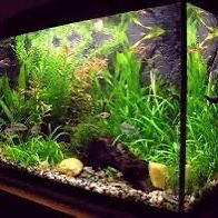 Huge List With Aquatic Variety 