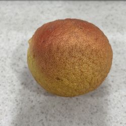 Free Sweet Grapefruit. U-pick