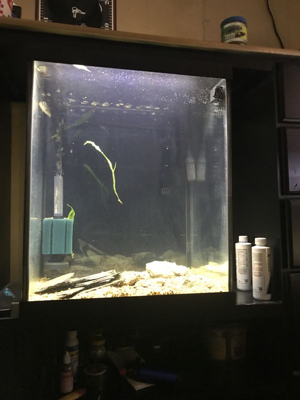 37 gallon Marineland column aquarium for Sale in Florence, KY OfferUp