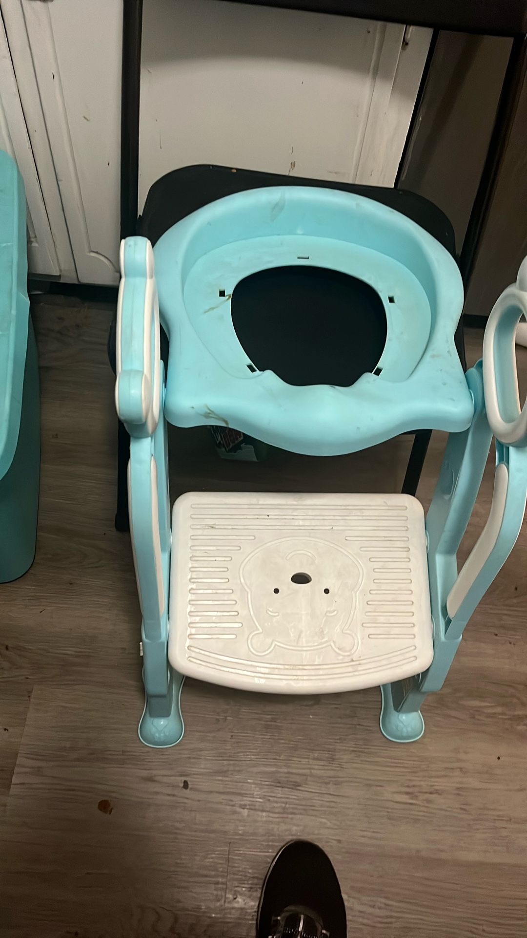 Potty seat