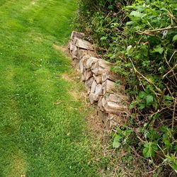 Bone Dry Firewood