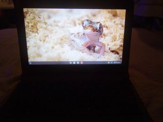 Working Dell Chromebook